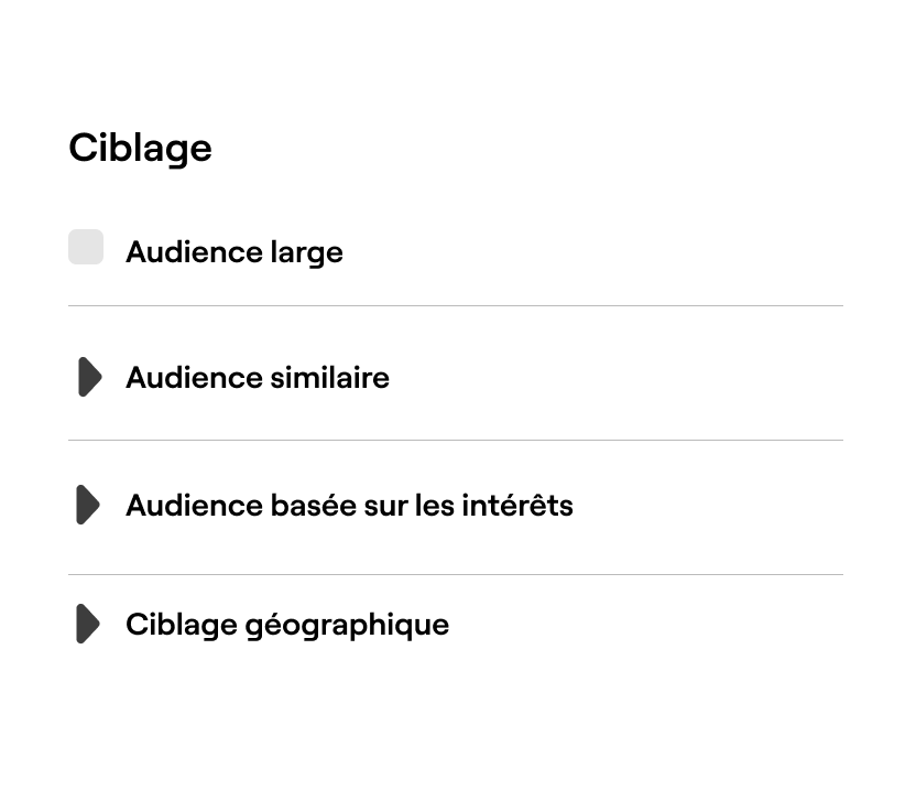 Targeting interface with options for broad audience, lookalike audience, and interest-based audience