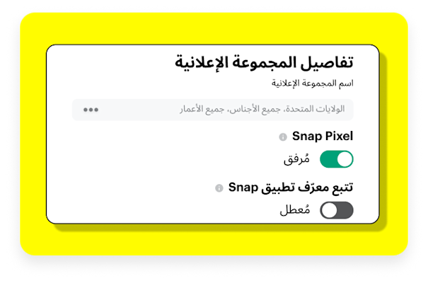 Dialog box showing how to attach the Snap pixel to your campaigns.