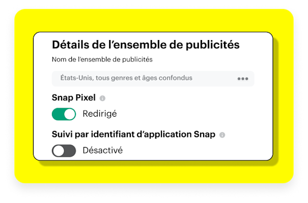 Dialog box showing how to attach the Snap pixel to your campaigns.