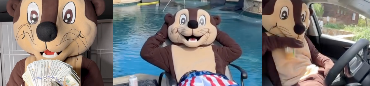 The OTTO otter mascot stars in the company’s social media posts, pictured here with his insurance savings, poolside, and driving a car.
