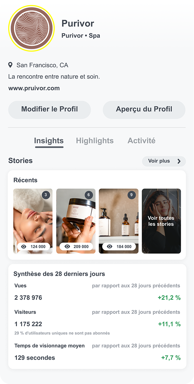 Onglet statistiques d un snapchat public profile montrant vues des stories et indicateurs pour comprendre la performance.